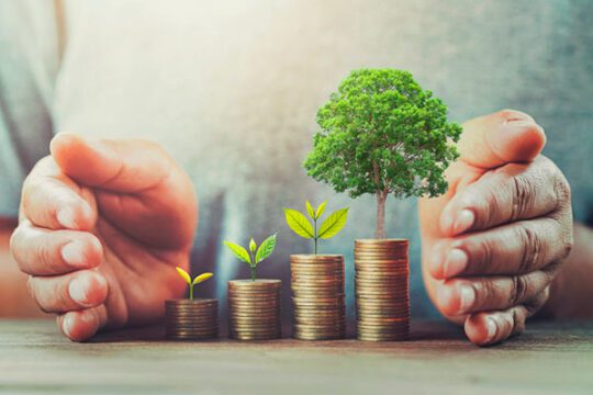 gestoria-asesoria-fiscalis
